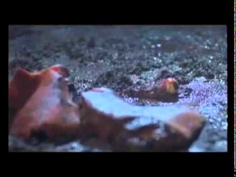 Slaughter (2009) Trailer