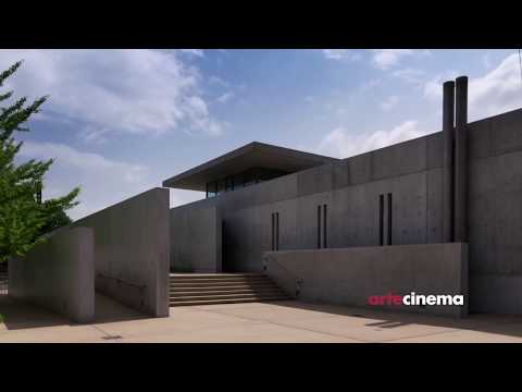 ARTECINEMA 2017 / Tadao Ando - Samurai Architect
