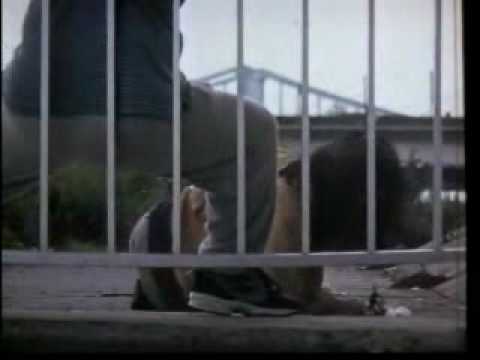 「百年の絶唱」予告編