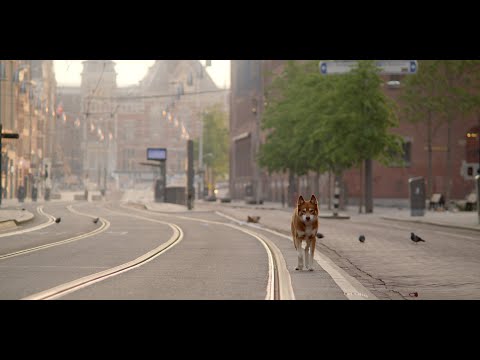 Geen Hond in Amsterdam