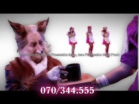 Musical De 3 Biggetjes (2003)