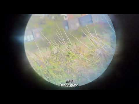 2024 南方影展 STFF｜In Your Shoes