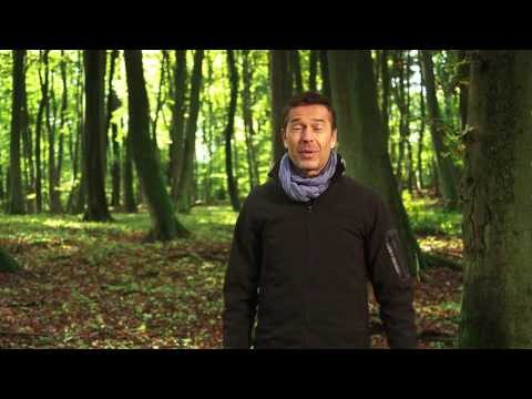 Die Wanderung der Alten Buchenwälder - UNESCO Welterbe seit 2011 - präsentiert von Dirk Steffens