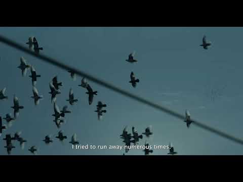 Cadı Üçlemesi 15+ / Witch Trilogy 15+ | Trailer | #34tfm