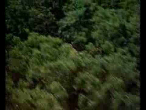 Sunshine (1999) Trailer - Ralph Fiennes