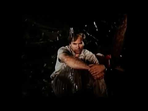 EN LA SELVA NO HAY ESTRELLAS | TRAILER