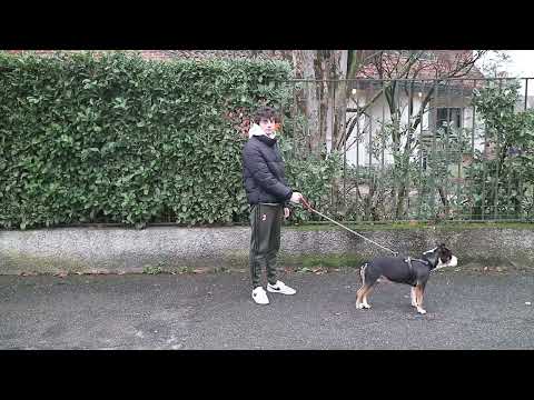 Waiting Session (50$) | TRAILER