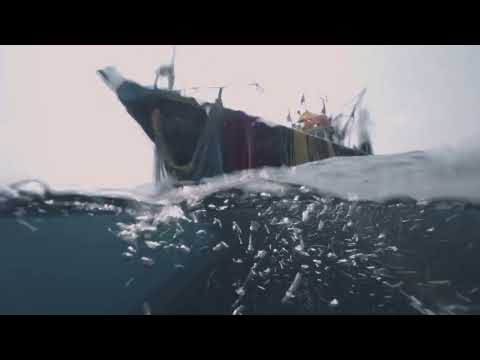 Against The Tide | Official Trailer | ALT EFF 2023