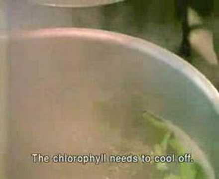 Invention de la Cuisine - Michel Bras