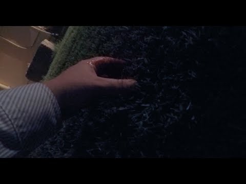 Elliott Mallane's Murder - Trailer