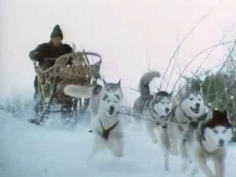 Iron Will Movie Trailer (better quality)