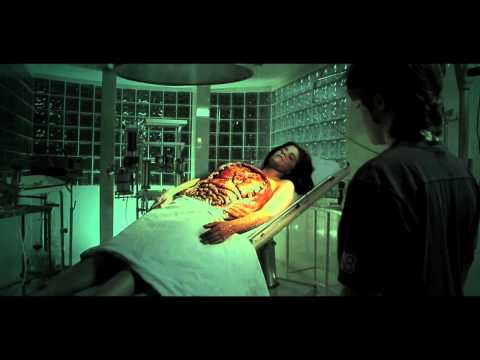 ALUCARDOS Retrato de un Vampiro