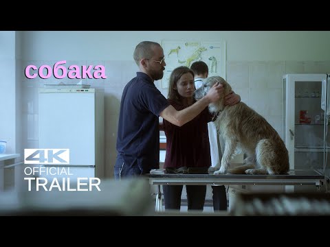 SOBAKA Treileris (2014)