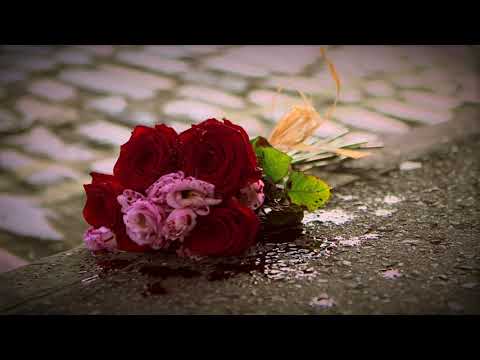 The Man Who Loved Flowers [2018] SHORT FILM COMING SOON