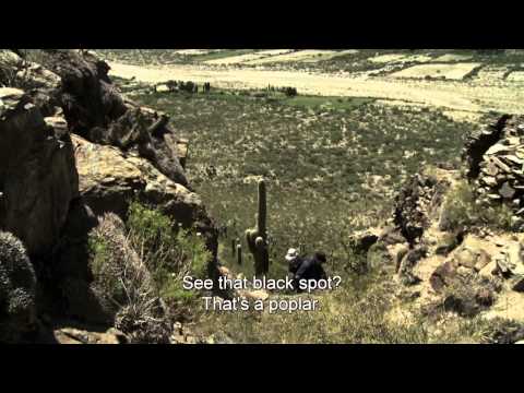 "Huellas", de Miguel Colombo - Trailer