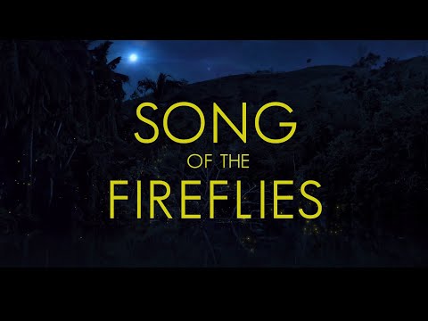 SONG OF THE FIREFLIES (Official Trailer 2025)