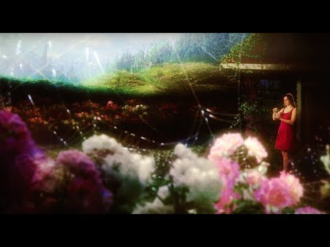 Dissection of a Rose - Teaser Trailer