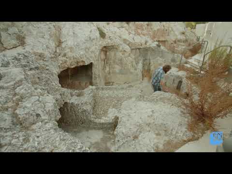 Cold Open | Secrets of the Lost Ark