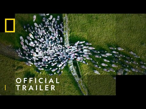Official Trailer - Elevate Your Perspective