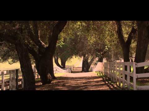 Girl on the Edge Trailer v2