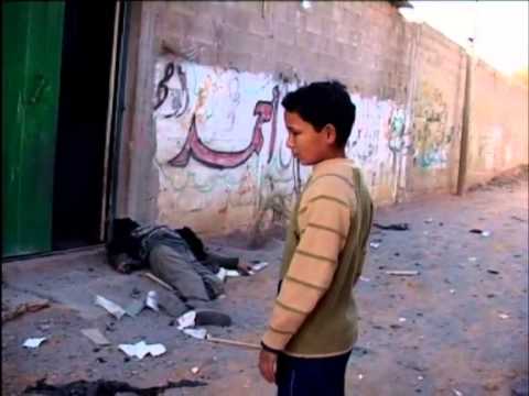 Where Should the Birds Fly Trailer