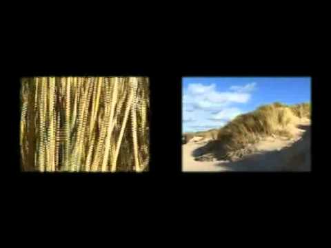 Les films rêvés, Éric Pauwels (bande annonce)