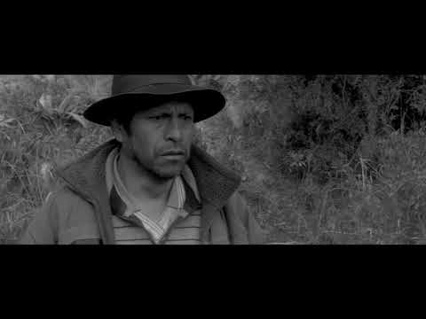 SAMICHAY Trailer Oficial c dialogos @2020