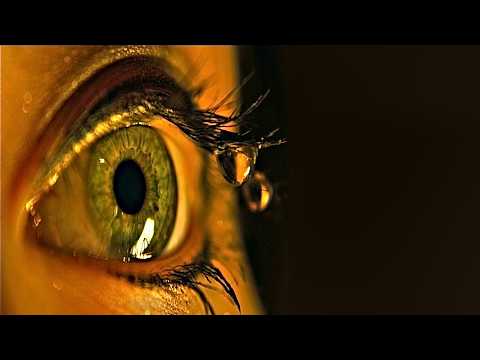 a series of high school short films