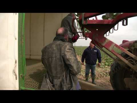 Trailer | Imagine Waking up Tomorrow and all Music has Disappeared | Stefan Schwietert