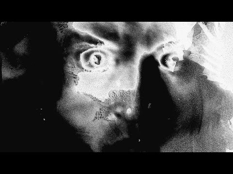 Fat Chance – trailer | IFFR 2021