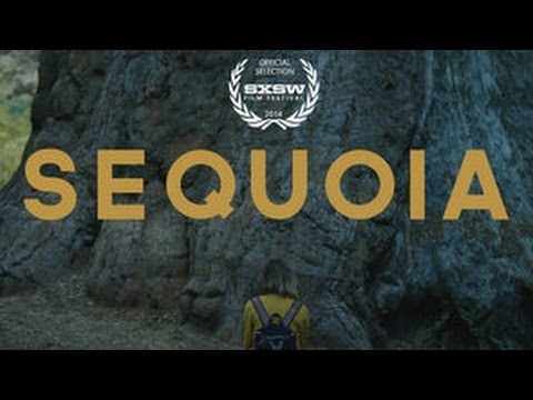 SEQUOIA  - (Aly Michalka) 2014 SXSW OFFICIAL SELECTION FILM TRAILER