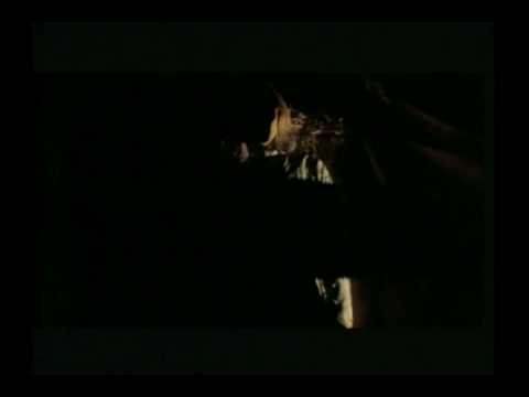 Sweet House of Horros trailer