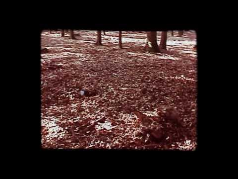 Changing Life - Trailer 4 (FSK12 / PG-13)