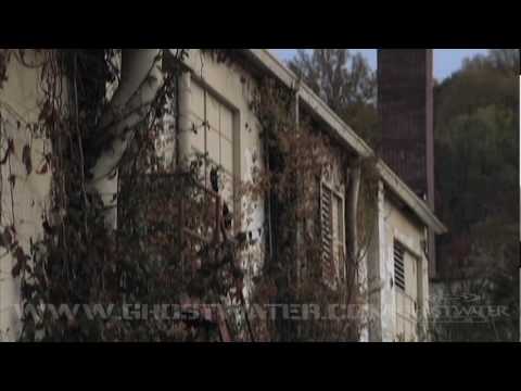 D4 Full Length Trailer