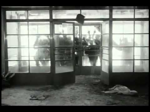 Biophage 2010 Trailer