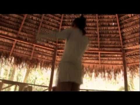 Living with Spirits: 10 Days in the Jungle with Ayahausca