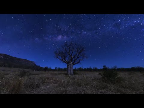 The Great Kimberley Wilderness