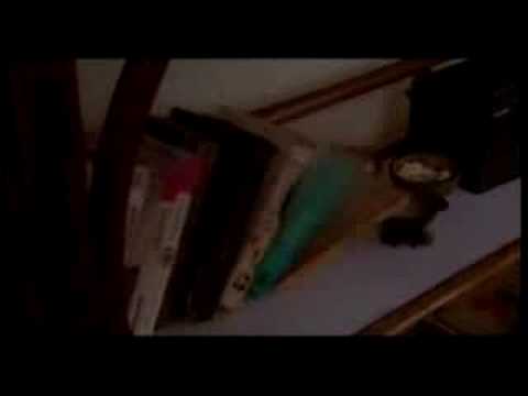 ตัวอย่างหนังเรื่อง The Mermaid of Pardise - วังนางเงือก