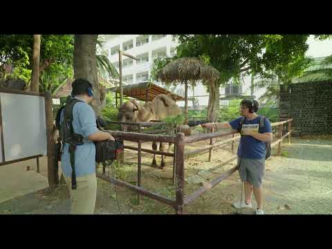 Death of the Sound Man_Official Trailer