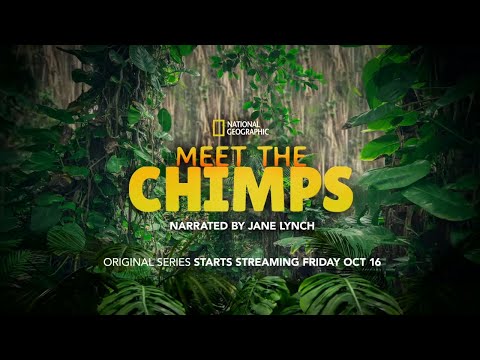 Meet the Chimps | Trailer