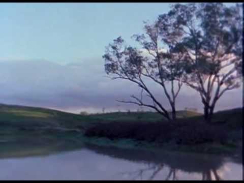 My Survival as an Aboriginal Official Trailer