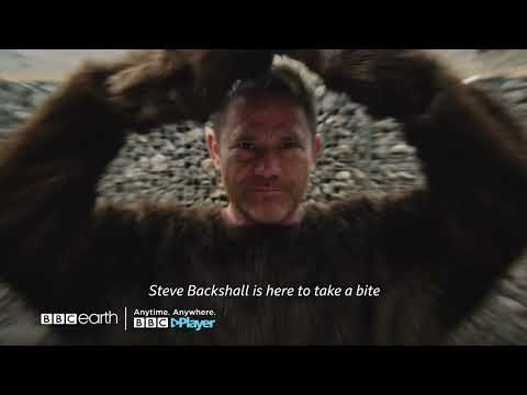 Deadly Predators | BBC Earth | BBC Player