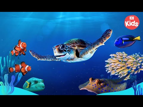 🐢 NEW Show! Welcome to #ReefSchool 🐚🐠| Reef School | ABC Kids
