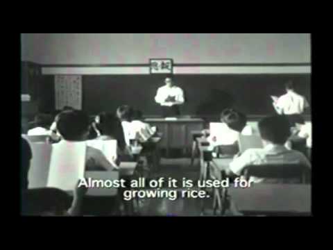 Bean Cake by David Greenspan