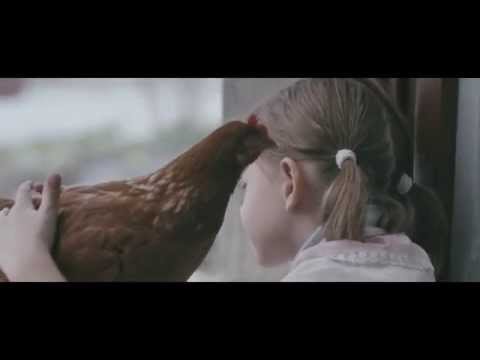 THE CHICKEN Trailer - 53rd Semaine de la Critique 2014