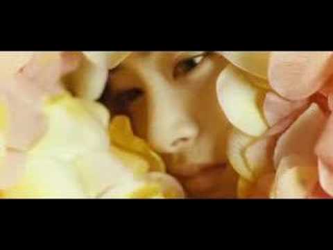 The Restless - Trailer