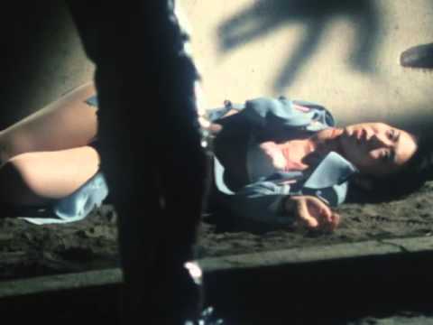 真・仮面ライダー序章(プレビュー)