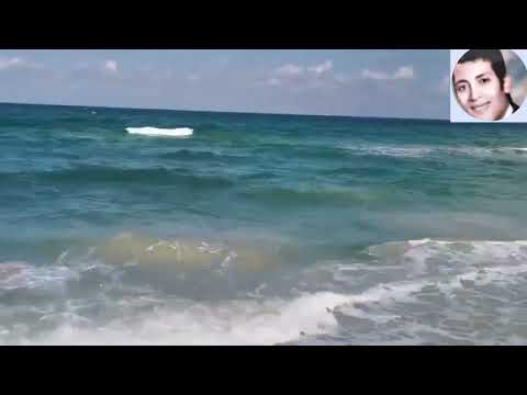 الشاعر الإعلامي أسامة سمير يروى حكاية عاشق الإسكندرية الفنان القدير إبراهيم عبدالشفيع