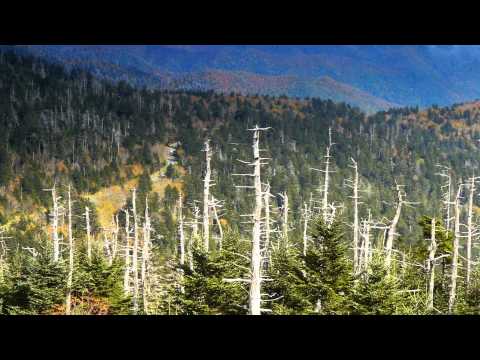 Smoky Mountain Explorer - An Island in the Sky Trailer