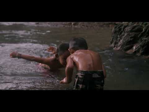 Tawai - A voice from the forest - Trailer